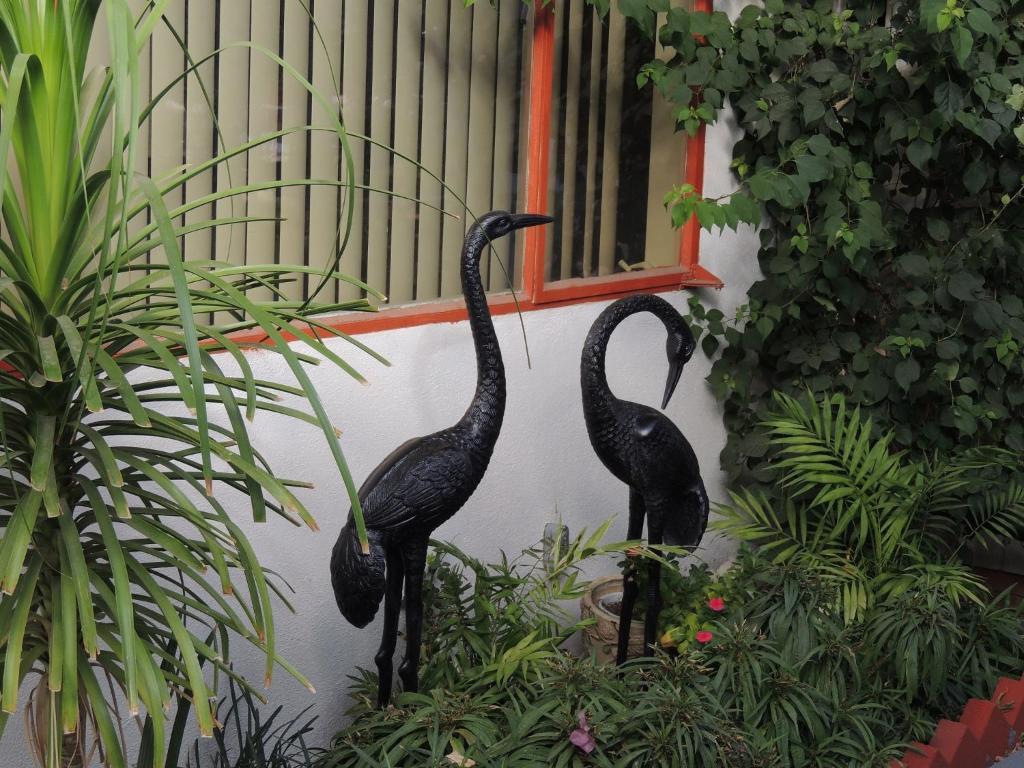Casa Larrea Inn Palm Desert Zewnętrze zdjęcie